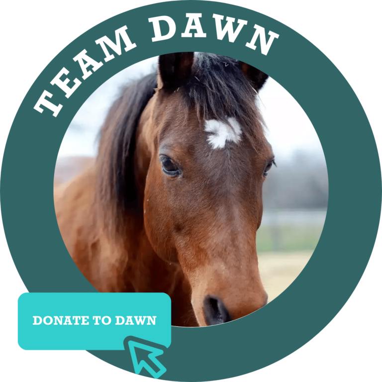 Team Dawn Donate Button