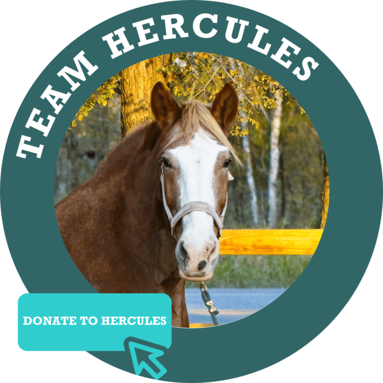 Team Hercules Donate Button