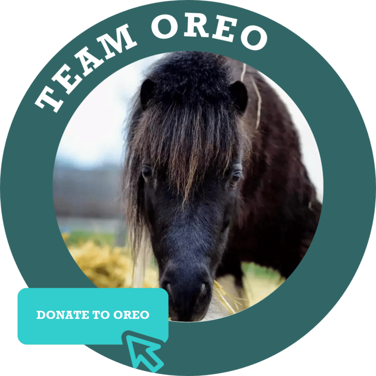 Team Oreo Donate Button