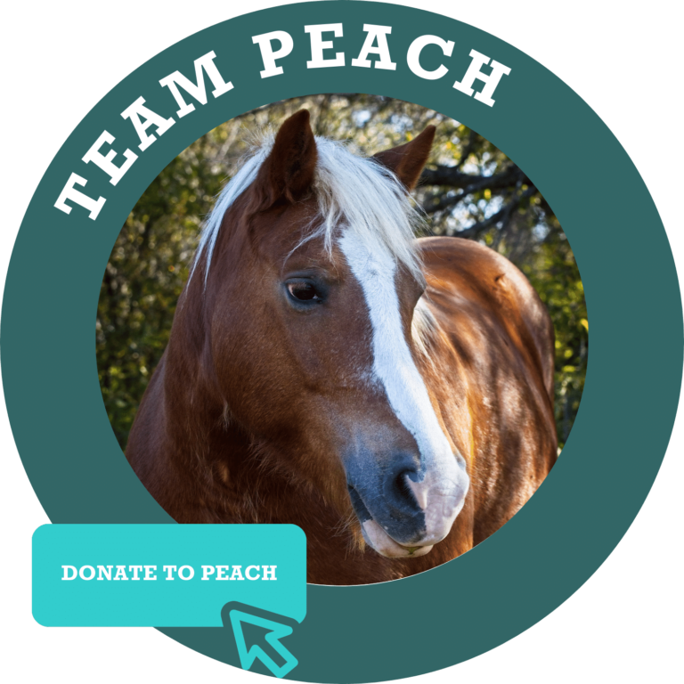 Team Peach Donate Button