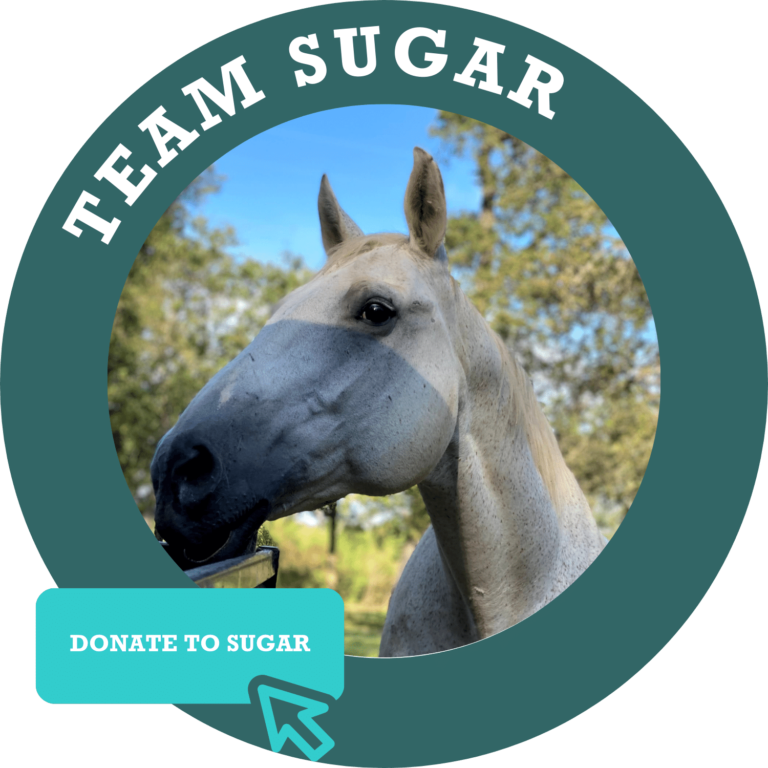 Team Sugar Donate Button
