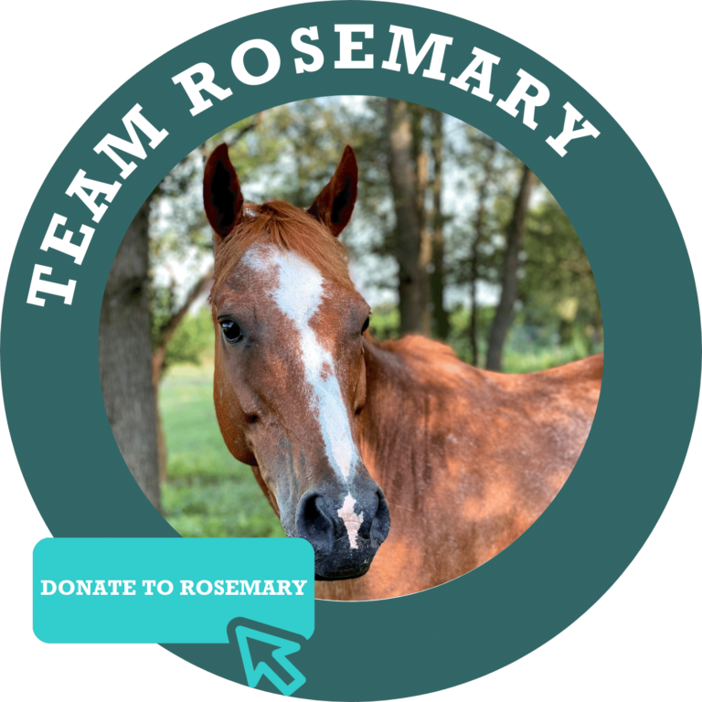 Team Rosemary Donte Button