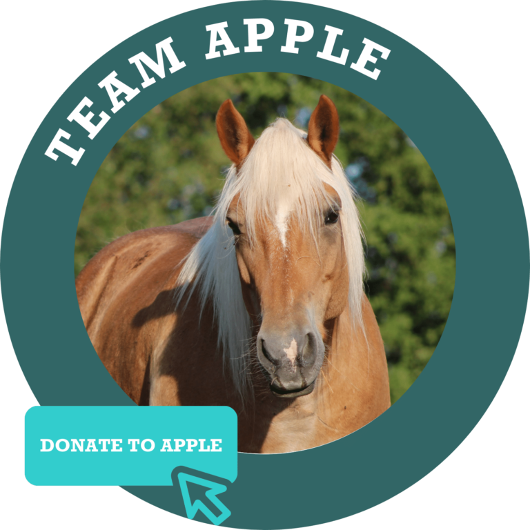 Team Apple Donate Button