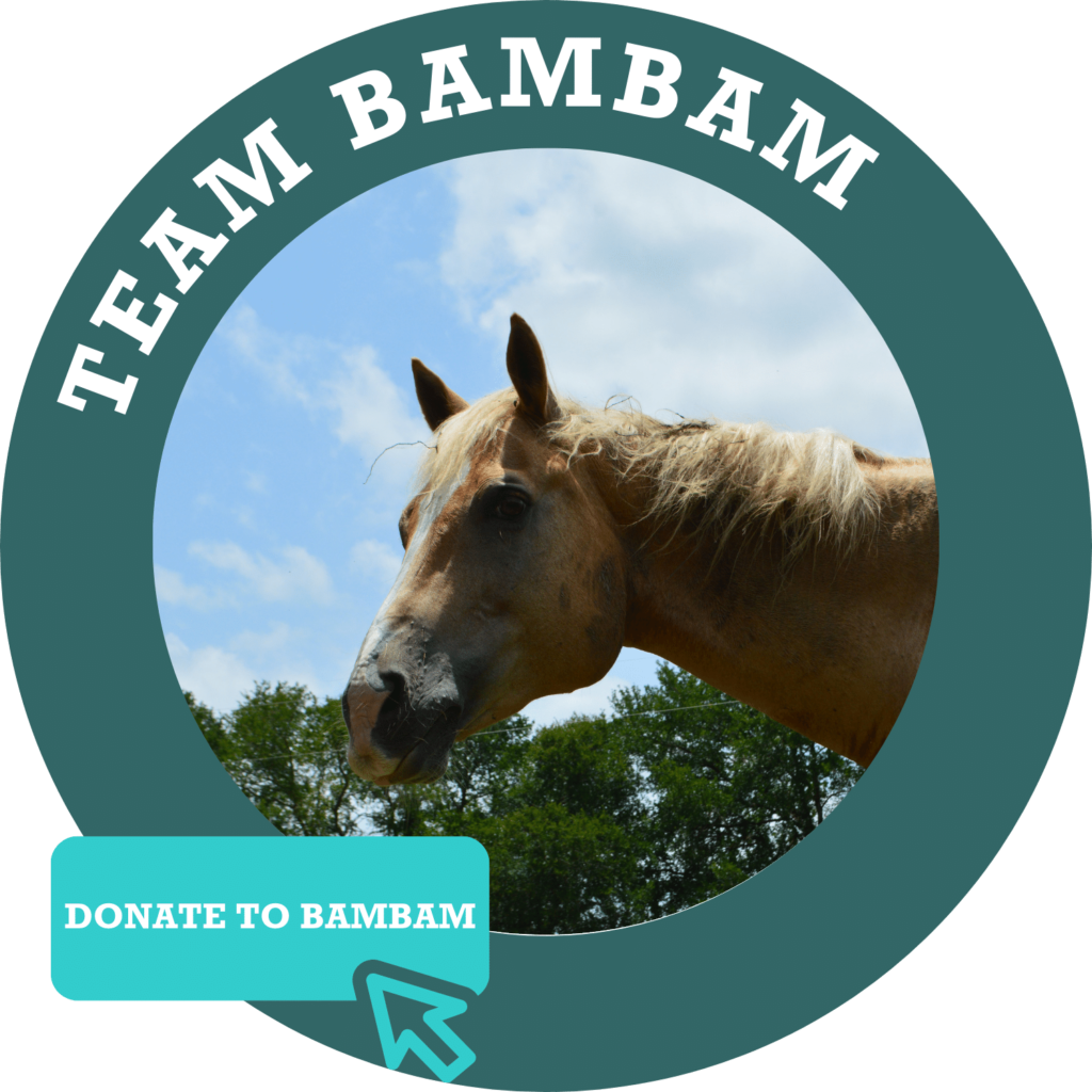 Team BamBam Donate Button