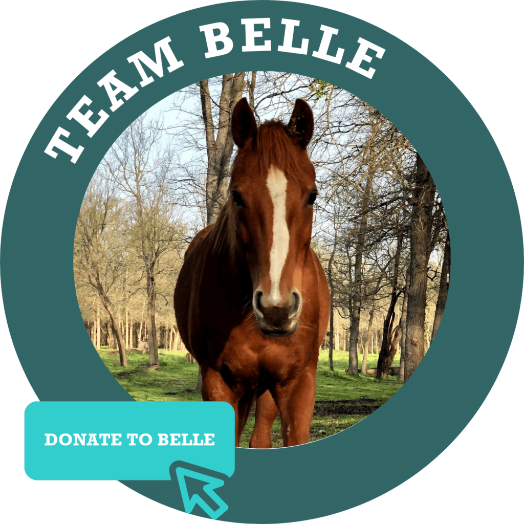 Team Belle Donate Button
