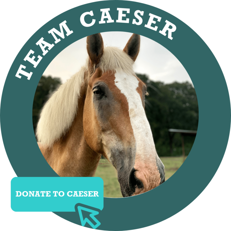 Team Caesar Donate Button