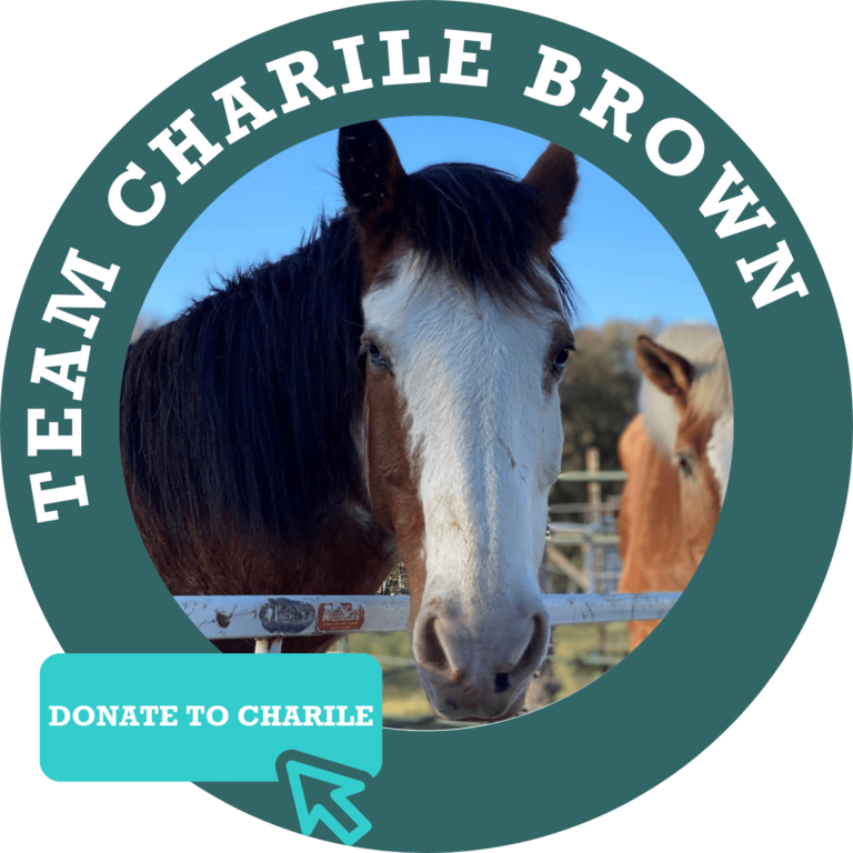 Team Charlie Brown Donate Button
