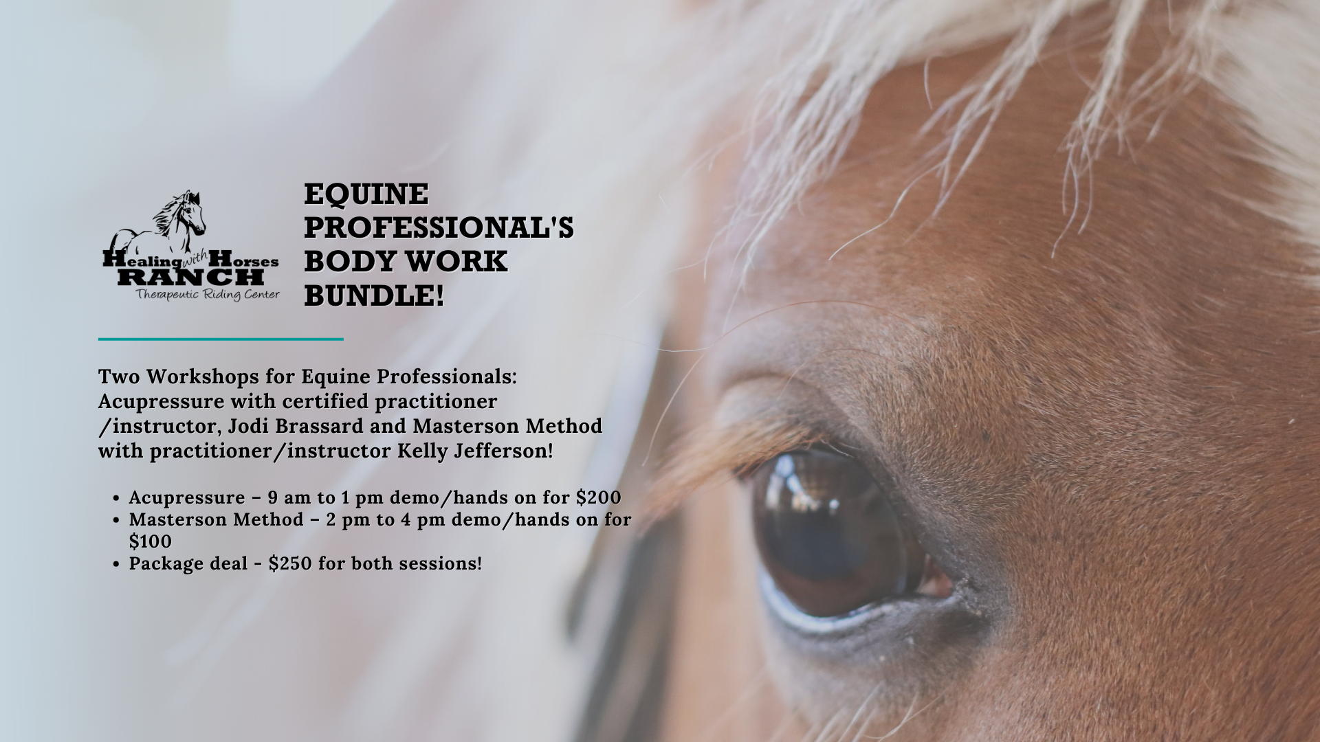 You are currently viewing An Equine Professional’s Workshop Bundle: Acupressure & Masterson Method