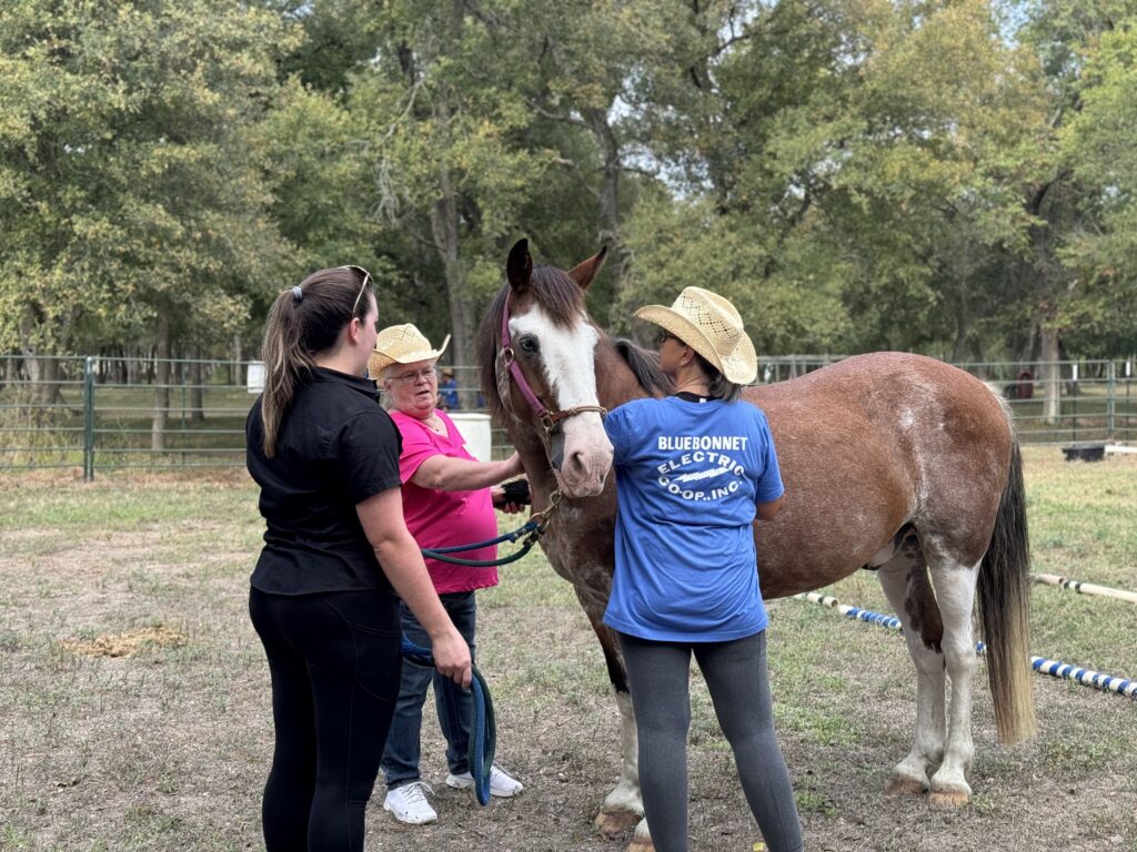 Celebrating the Successful Launch of Corporate Equine-Assisted Learning Workshop