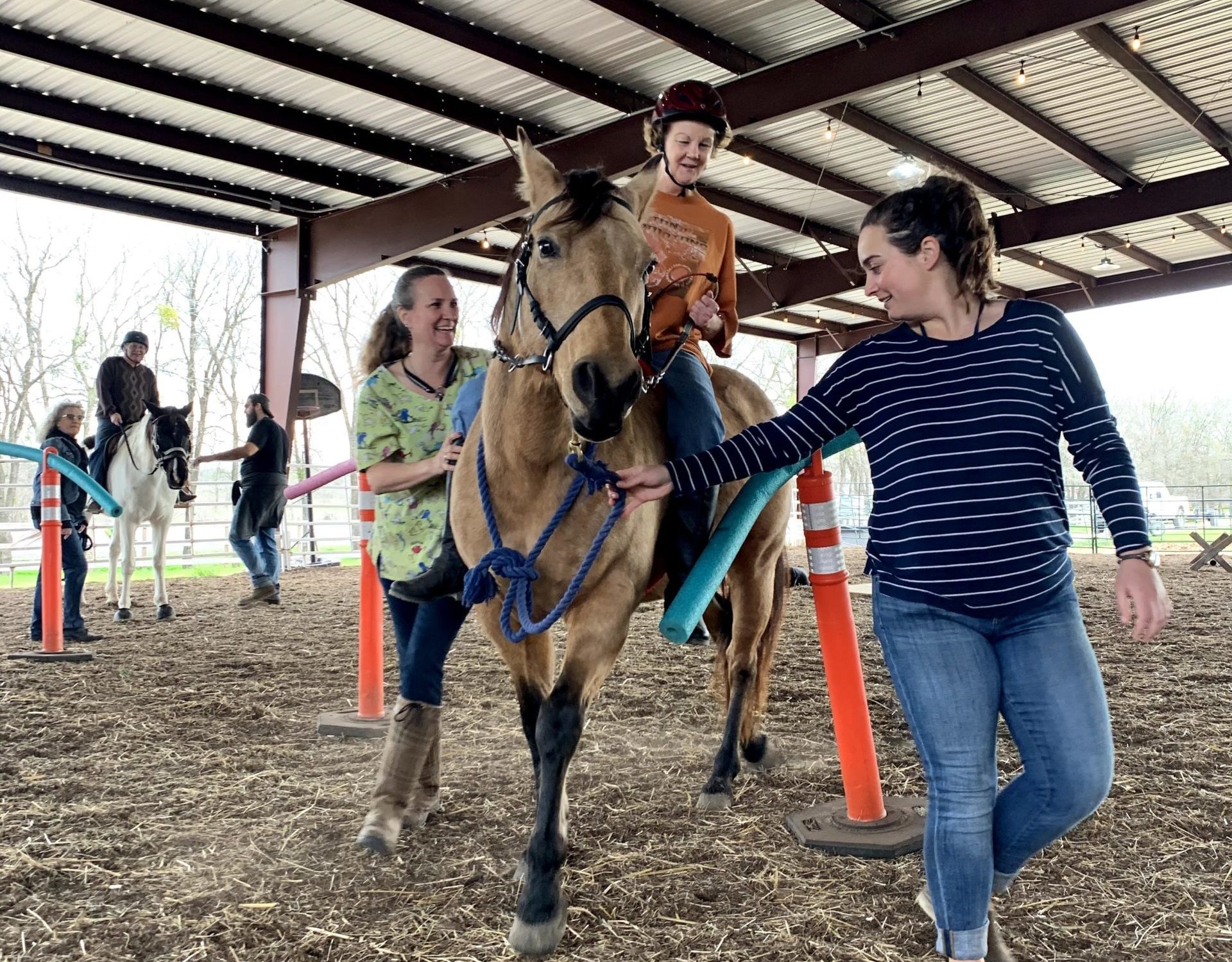 Volunteer Healing With Horses Ranch